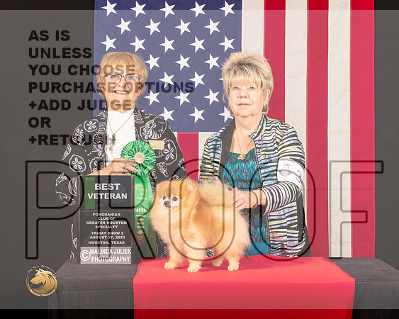 Pomeranian #63 Fri2 BVet Judge_Suzanne_Dillin_0504_HstnToy21-HR3
