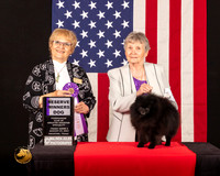 Pomeranian #65 Fri2 RWD Judge_Suzanne_Dillin