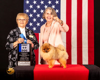 Pomeranian #83 Fri2 6to91 Judge_Suzanne_Dillin