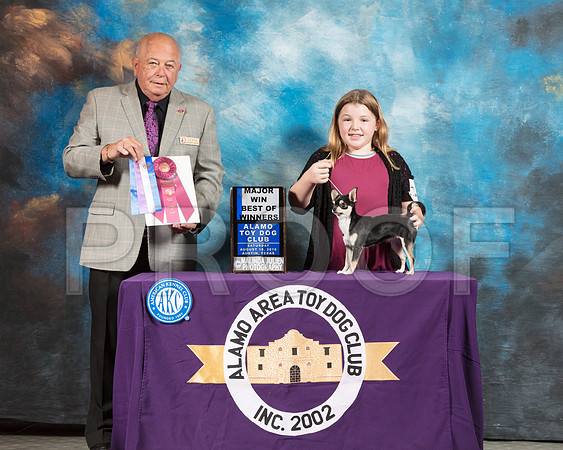 Chihuahua Smooth #12 Sat OHBOB BOW Maj Judge Richard Miller-SSR_8198-AlamoToyAstn2018-HR3