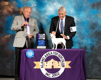 Chihuahua Smooth #5 Sat WD NCh Judge Richard Miller