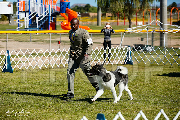 _JJ_9839-AlamogordoOct2014-HR3