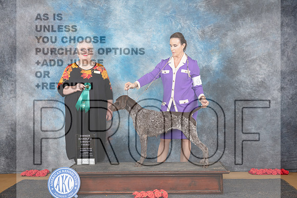 Germa Shorthaired Pointer #6 Sun OHG3 Judge Bev Felten__JP_0787_Sulphur Springs_2024_HR3