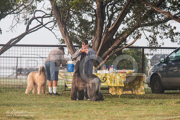 _MJ_2777-AfgBeltonOct2014-HR3
