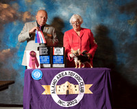 Chihuahua Long Coat #16 Sat BOW BOS BOH BOB Judge Robert Miller