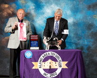 Chihuahua Smooth #6 Sat G2 Judge Richard Miller