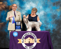 Chinese Crested #22 Sat BOW Maj Judge Tim Robbins