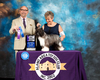 Chinese Crested #25 Sat WD Maj Judge Tim Robbins