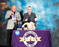 Pekingese #18 Sat BOS Maj Judge Richard Miller