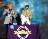 Toy Poodle #32 Sat WB Maj Judge Richard Miller
