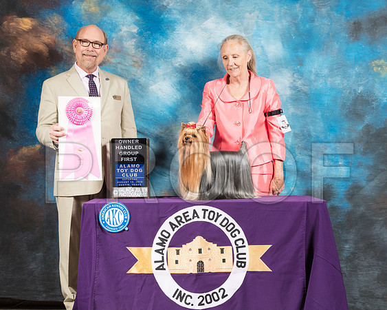 Yorkshire Terrier #11 Sat OHG1 Judge Timothy Robbins-SSR_8295-AlamoToyAstn2018-HR3