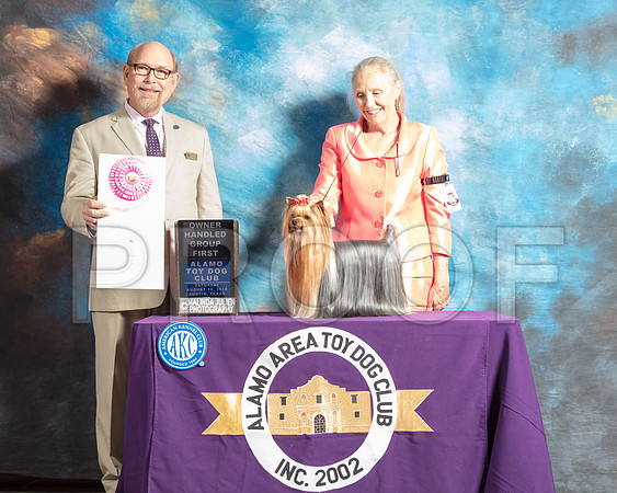 Yorkshire Terrier #11 Sat OHG1 Judge Timothy Robbins-SSR_8296-AlamoToyAstn2018-HR3