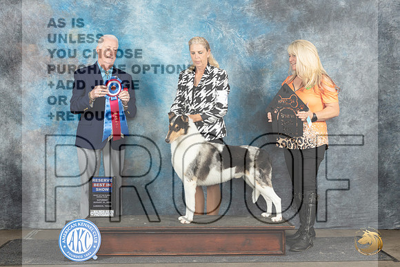 Collie Smooth #7 Sat RBIS Judge Dr Steve Keating__JP_3762_Lubbock_2024_HR3