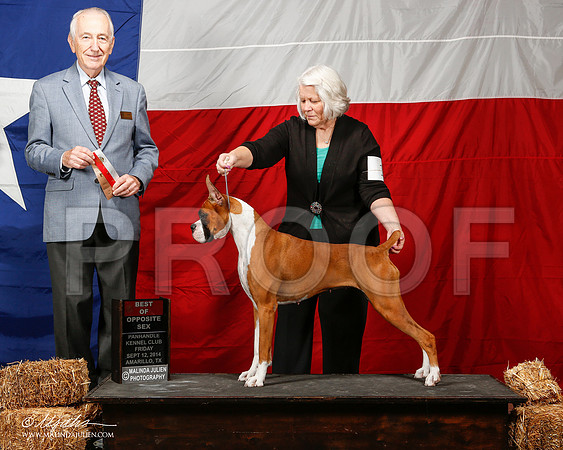 _ST_1996-2-AmarilloSep2014-HR3