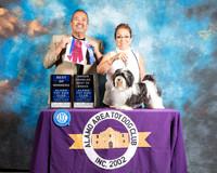 Havanese #7 Sun BOB OHBOB Judge Tammi White