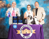 Havanese #7 Sun BOW Maj OHBOB Judge Tim Robbins