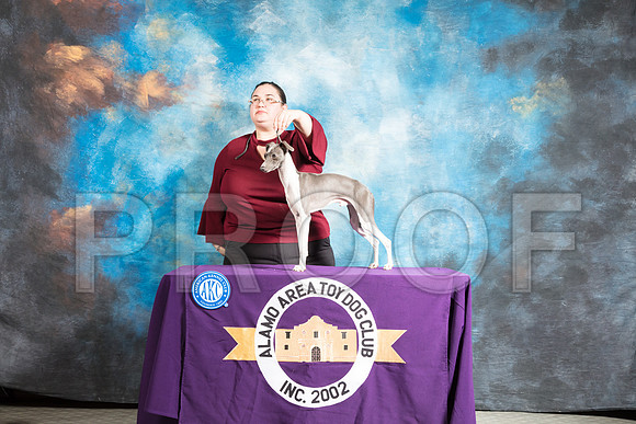 Italian Greyhound #9 Sun RESHOOT-SSR_8424-AlamoToyAstn2018-HR3