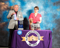 Yorkshire Terrier #8 Sun WB Maj Judge Richard Miller