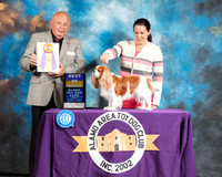 Cavalier King Charles Spaniel #14 Sun BOB Judge Richard Miller