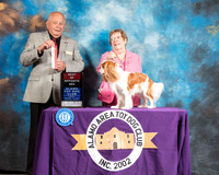 Cavalier King Charles Spaniel #5 Sun BOS Judge Richard Miller