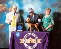 Miniature Pinscher #5 Sun G3 Judge Tim Robbins