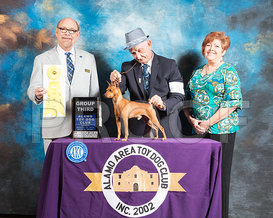 Miniature Pinscher #5 Sun G3 Judge Tim Robbins-SSR_8468-AlamoToyAstn2018-HR3