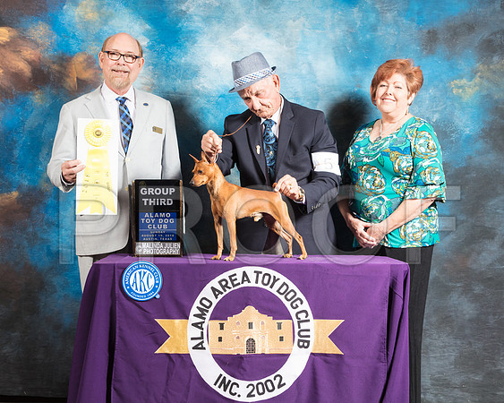 Miniature Pinscher #5 Sun G3 Judge Tim Robbins-SSR_8469-AlamoToyAstn2018-HR3