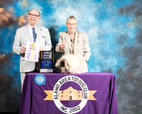 Pekingese #18 Sun BOB NCh Judge Tim Robbins