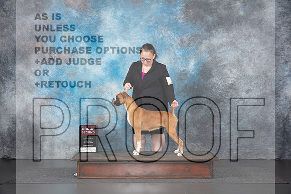 Boxer #205 Sat G2 Judge Nancy Gallant__JP_1199_UKCLNGVIEWOCT2024_2024_HR3