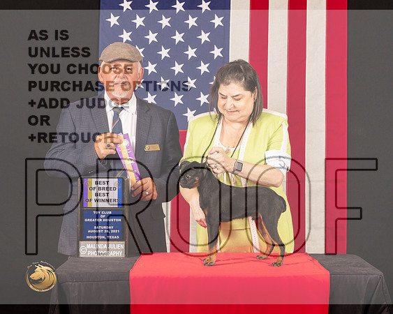 Brussels Griffon #5 Sat BOB Judge_Rodney_Merry_0692_HstnToy21-HR3