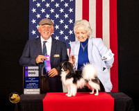 Papillon #9 Sat WD Judge_Rodney_Merry