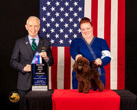 Poodle Toy #11 Sat BOWM Judge_Fred_Bassett