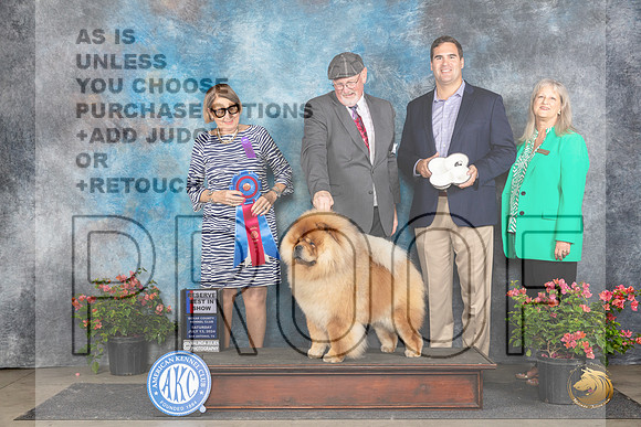 Chow Chow #5 Sat RBIS Judge Elizabeth ‘Beth’ Sweigart__JP_5589_San Antonio_2024_HR3