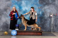 German Shepherd Dog #5 Thurs G1 Judge Denise Dean