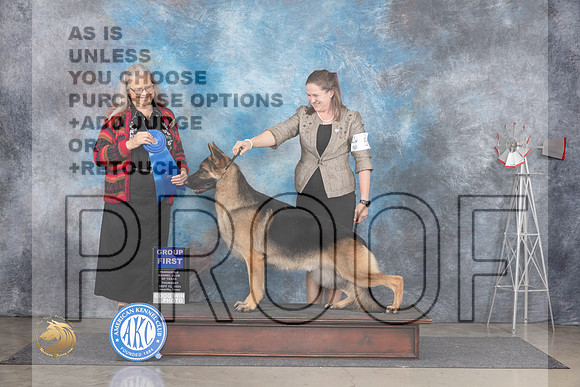 German Shepherd Dog #5 Thurs G1 Judge Denise Dean__JP_5030_Amarillo_2024_HR3