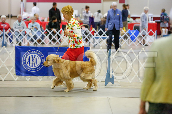 _JJ_7108-AmarilloSept2014-HR3