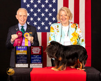 Cavalier King Charles Spaniel #23 Sat BOB Judge_Fred_Bassett