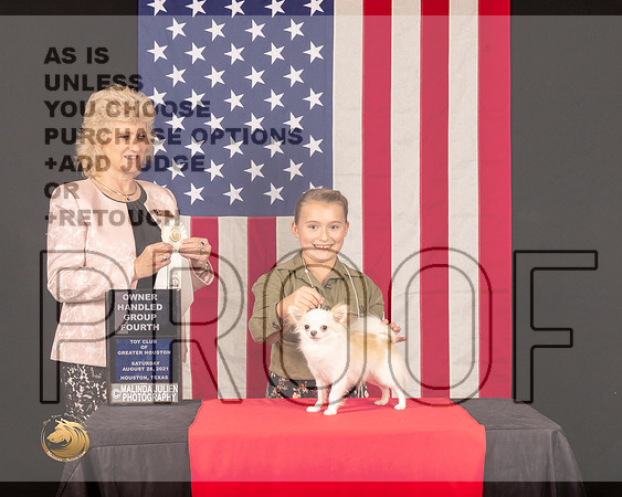 Chihuahua Long Coat OHG4 Judge_Lisa_Graser_0841_HstnToy21-HR3