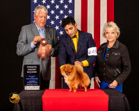 Pomeranian #49 Sat SweepsG4 Judge_Cameron_Riegel