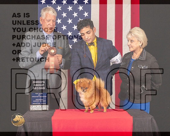 Pomeranian #49 Sat SweepsG4 Judge_Cameron_Riegel_0835_HstnToy21-HR3