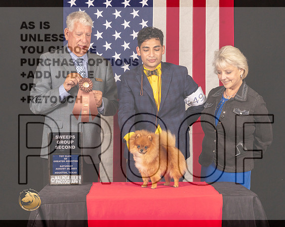 Pomeranian #49 Sat SweepsG4 Judge_Cameron_Riegel_0837_HstnToy21-HR3