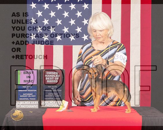 Russian Toy #306 Sat BMISc Judge_Lisa_Graser_0770_HstnToy21-HR3