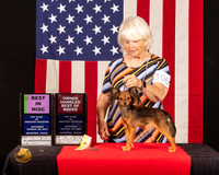 Russian Toy #306 Sat BMISc Judge_Lisa_Graser