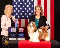 Shih Tzu #17 Sat WDMNChOHBOB Judge_Lisa_Graser