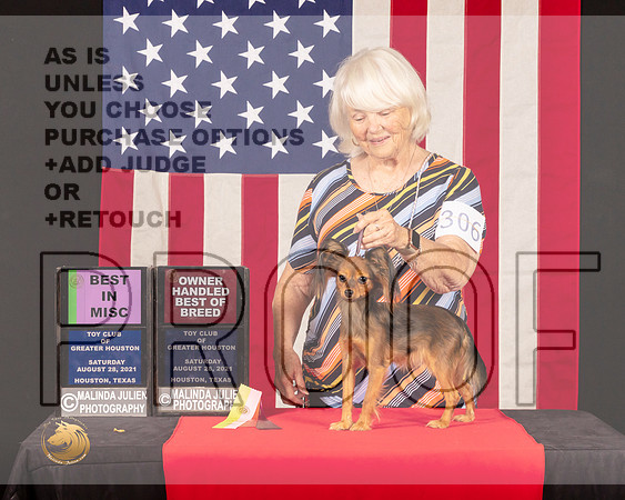 Russian Toy #306 Sat BMISc Judge_Lisa_Graser_0775_HstnToy21-HR3