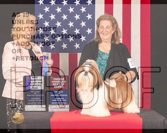 Shih Tzu #17 Sat WDMNChOHBOB Judge_Lisa_Graser_0798_HstnToy21-HR3