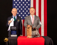 Yorkshire Terrier #19 Sat G4 Judge_Fred_Bassett