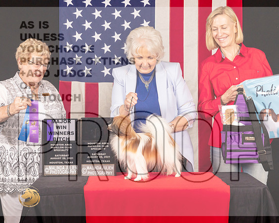 Papillon #12 Sat WB Judge_Judith_Brown_0901_HstnToy21-HR3