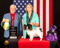 Papillon #18 Sat BISweeps Judge_Robert_Stein
