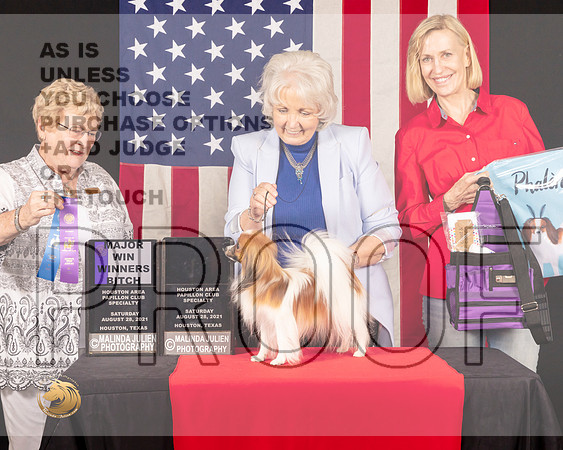 Papillon #12 Sat WB Judge_Judith_Brown_0905_HstnToy21-HR3